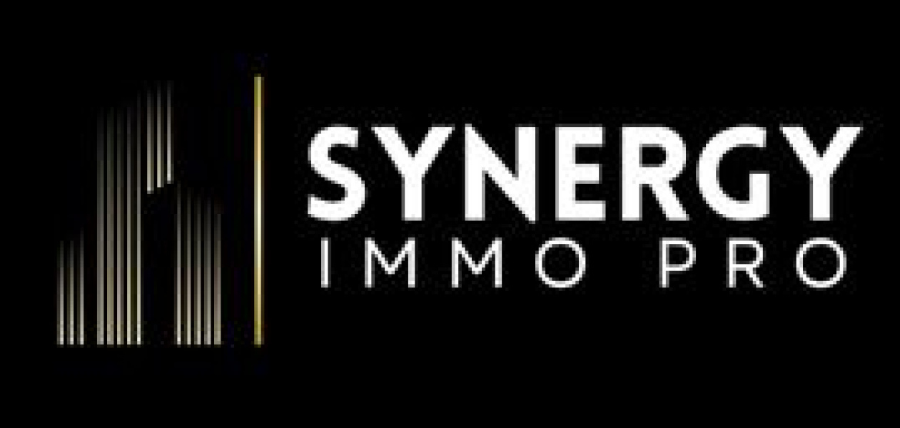 Logo Synergy Immo Pro